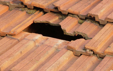 roof repair Apes Dale, Worcestershire